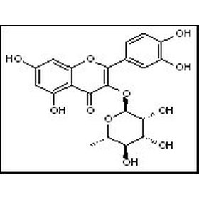 522123槲皮苷quercitrin