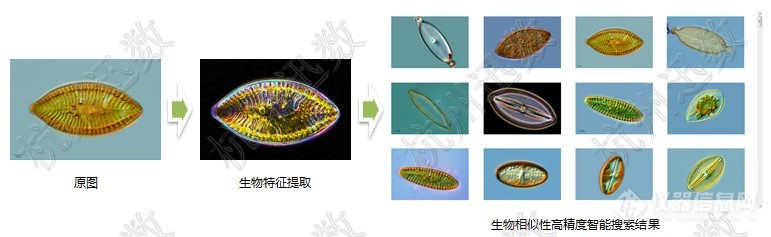上传4.jpg