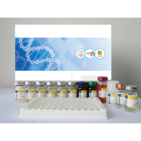 人胃蛋白酶原I(PGI)ELISA试剂盒