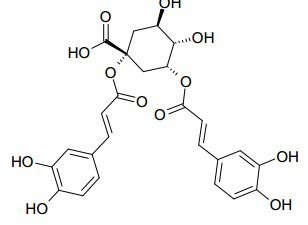 1,5-二咖啡酰奎宁酸,30964-13-7