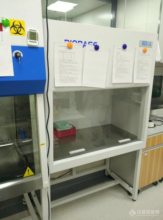 psb (28).jpg