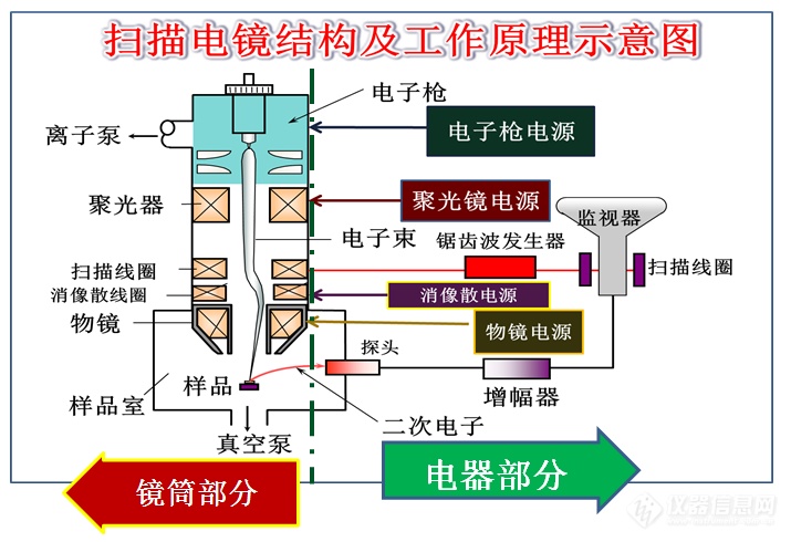 扫描电镜放大倍数和分辨率背后的陷阱——安徽大学林中