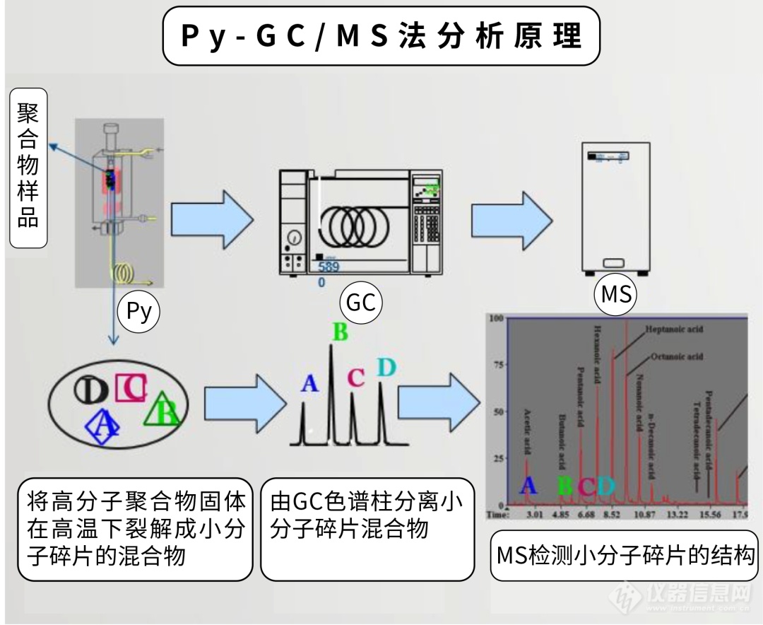 热裂解 气相色谱质谱仪的分析原理图