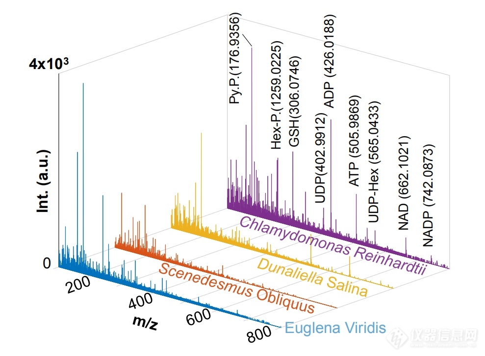 图4. 不同种类细胞的单细胞质谱谱图.