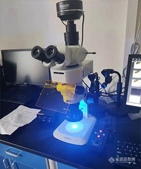 体视荧光显微镜助力河南科技大学昆虫观察_最新动态_广州市明美光电