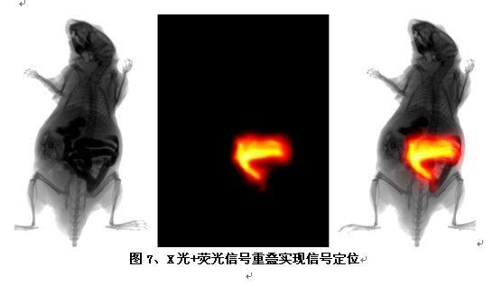 如何选择小动物活体荧光成像系统_检测资讯_