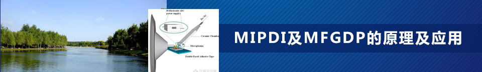 MIPDI及MFGDP的原理及应用