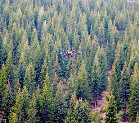 Ecodrone&#174;无人机遥感技术应用于海水养殖生物量评估