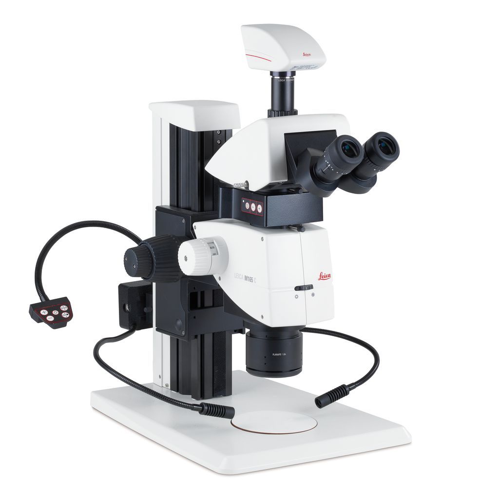 单光子显微镜图片