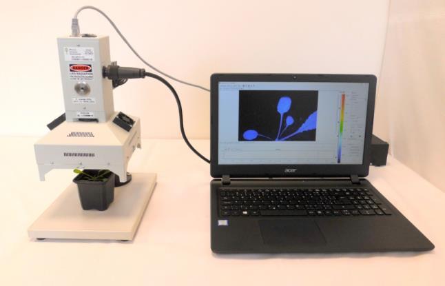 FluorCam叶绿素荧光成像技术：通过实验室适应进化增强高光条件下蓝藻的光合能力