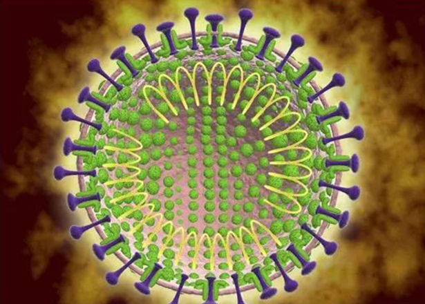 ���͹�״������Ⱦ�������Ʒ���