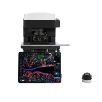文献速递 | 肿瘤药物反应检测平台以ECHO荧光显微镜为成像辅助研究
