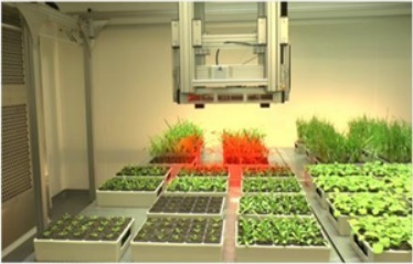植物表型组学研究技术（二） 叶绿素荧光成像与RGB彩色成像分析系统