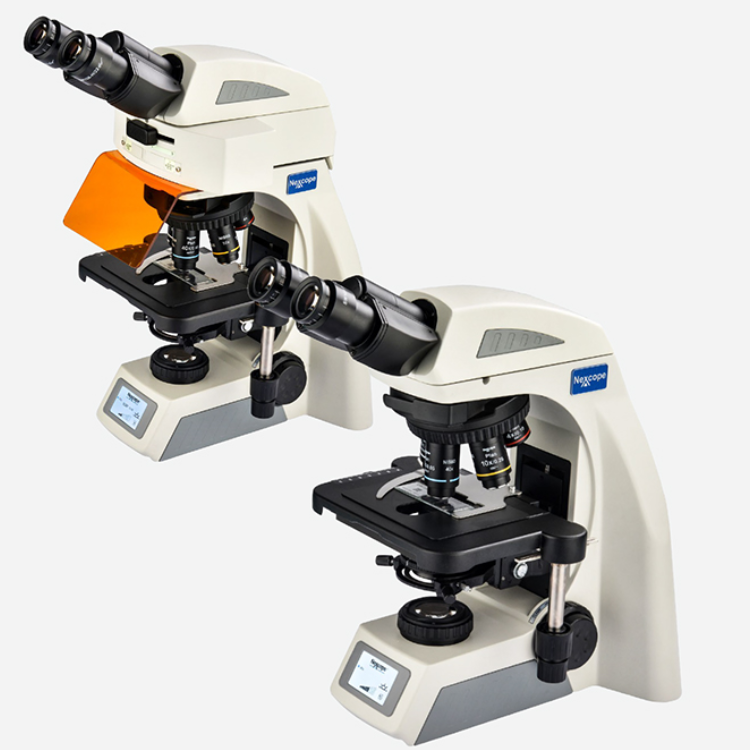 支原体感染的观察与检测：相差显微镜与荧光显微镜的应用