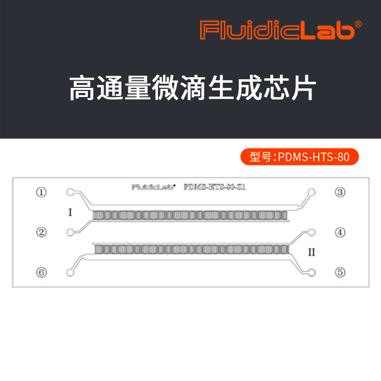 FluidicLab ͨ΢оƬ-Һ΢оƬPDMS