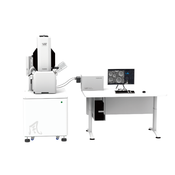 拉曼集成一体化扫描电子显微镜F6000-RS