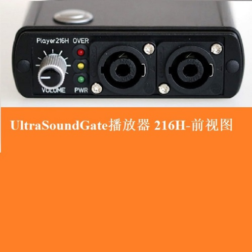 动物声音超声播放器  UltraSoundGate 1216H-Avisoft-新品