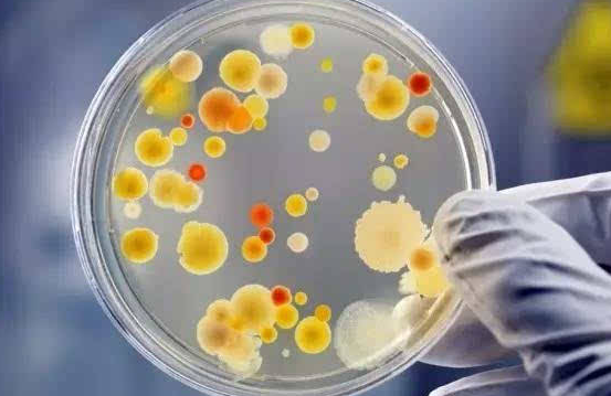 微生物检测培养基的分装与灭菌方法及质量检查！