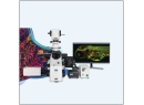广州共聚焦显微镜NCF950-上门安装指导