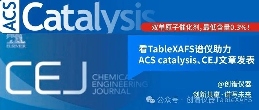 双单原子催化剂，最低含量0.3%！看TableXAFS谱仪助力ACS catalysis、CEJ文章