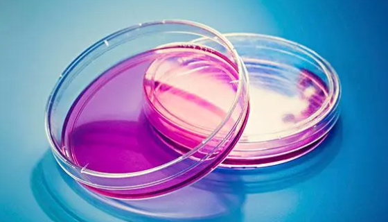 你知道实验室培养基常见的灭菌方法有哪些吗？