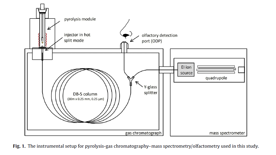 热裂解结合气相色谱嗅闻技术 PYRO-GC-O-MS：识别乳香中热产生的气味物质的新方法