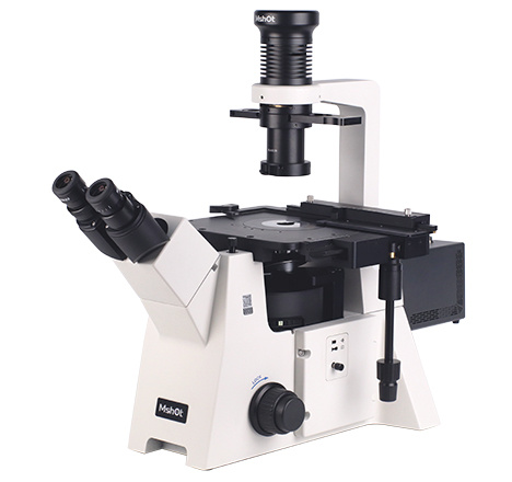 荧光显微镜助力生物材料研究
