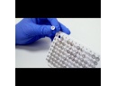 Azenta2D单管可拆PCR板