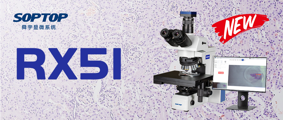 新品 | RX51显微镜扫描系统
