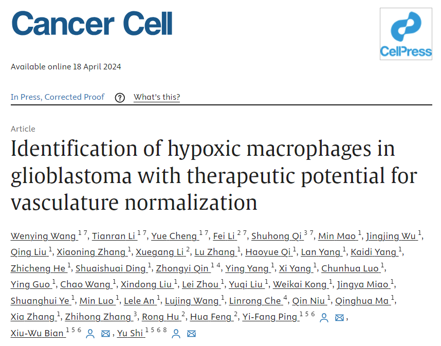 Cancer Cell|陆军军医大学卞修武院士团队利用Tissue Cytometry揭示胶质瘤血管