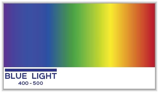 【应用】使用蓝光源和红外光源在分散体系稳定性分析中所获得的背散射光强度