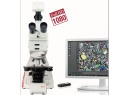徕卡偏光显微镜DM750P
