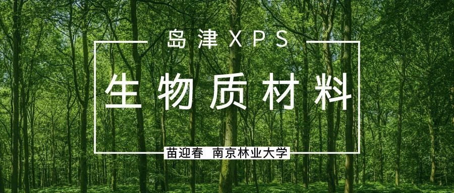 用户分享：岛津XPS在生物质材料研究中的典型应用