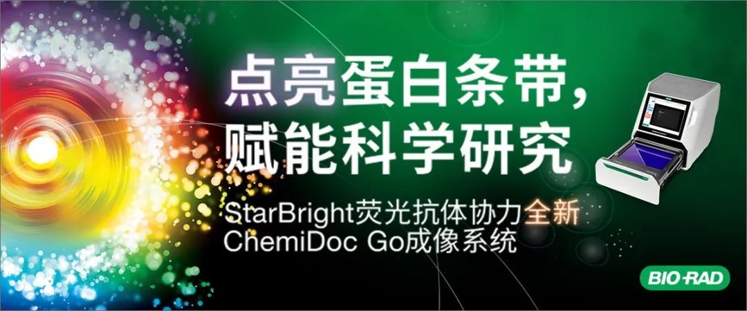 新品上市：ChemiDoc Go荧光及化学发光成像系统