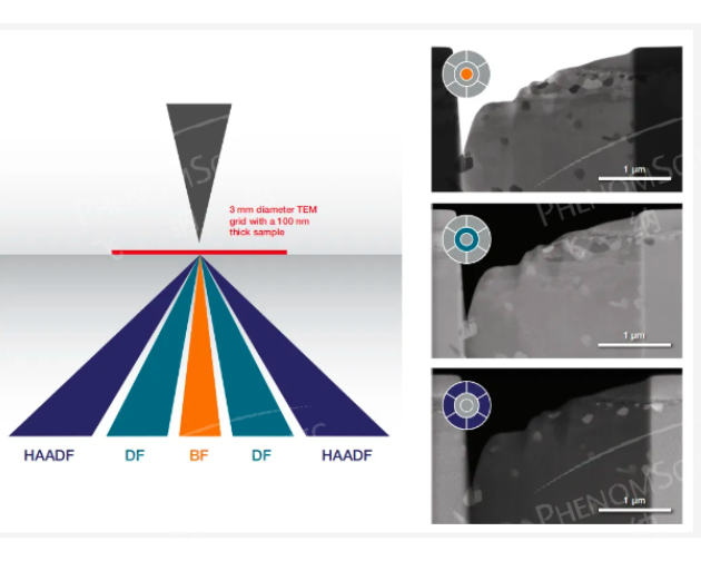 台式场发射扫描-透射（SEM—STEM）电子显微镜应用案例分享