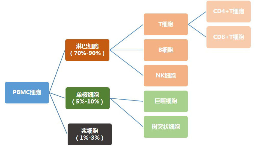 Moxi系列库尔特细胞分析系统在PBMC检测中的应用