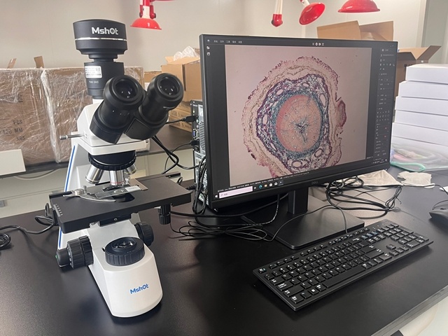 生物显微镜ML31应用于中药鉴别