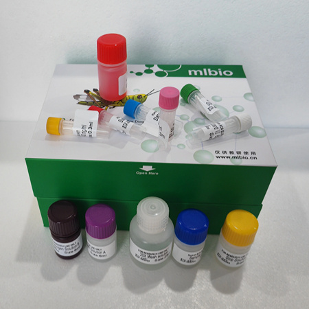 酶联生物ELISA试剂盒试剂溶解与稀释标准品操作流程介绍