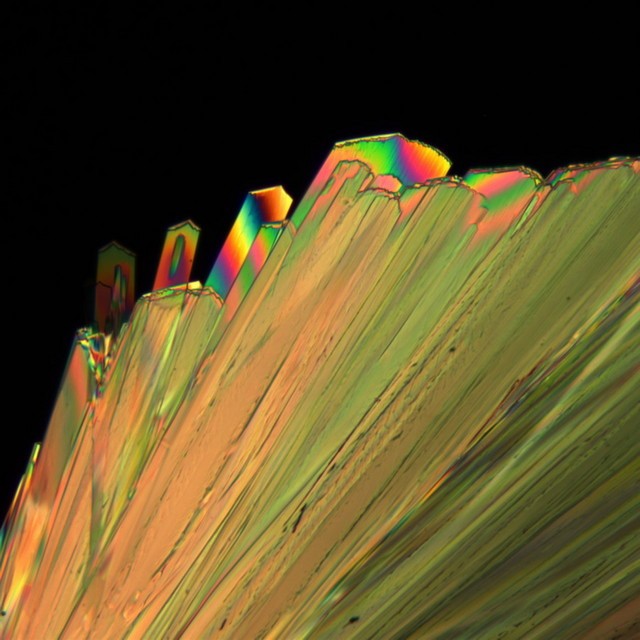 光学显微镜观察方式大盘点：偏光