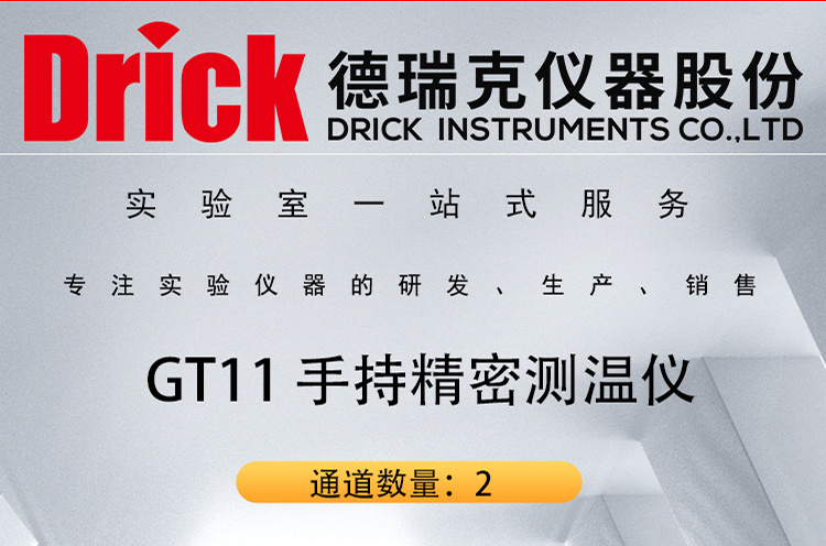 德瑞克试验仪器 GT11 手持精密测温仪 2通道便携款