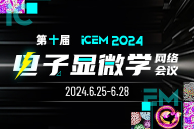 日程揭晓！iCEM 2024之先进电子显微学与应用专场预告