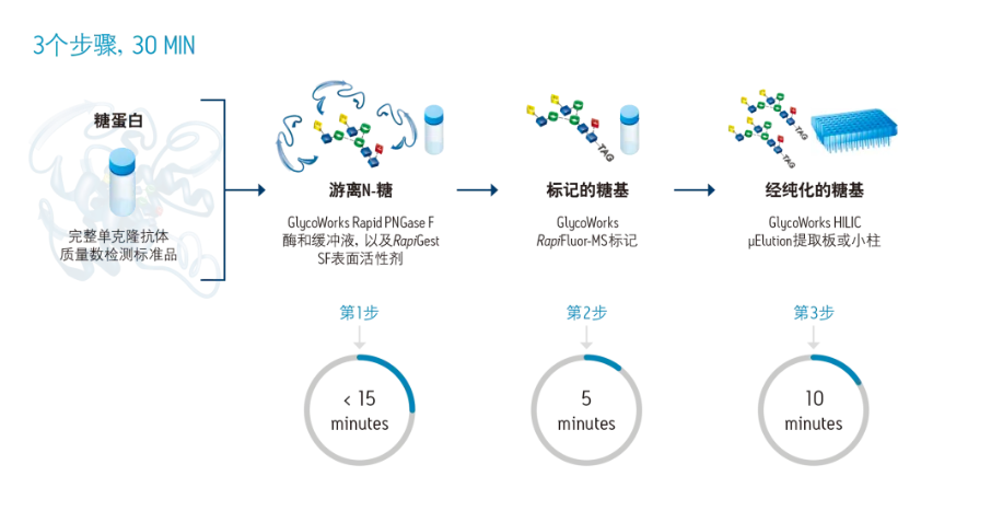 【低至5折】N糖试剂盒，省时又省力