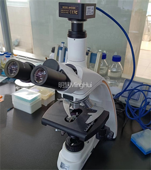MHL2800检验显微镜：高清成像，科研工业检测更高效