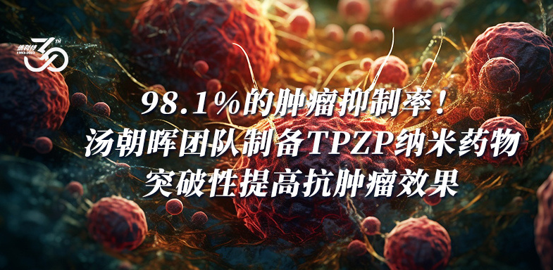 98.1%的肿瘤抑制率！汤朝晖团队制备TPZP纳米药物突破性提高抗肿瘤效果