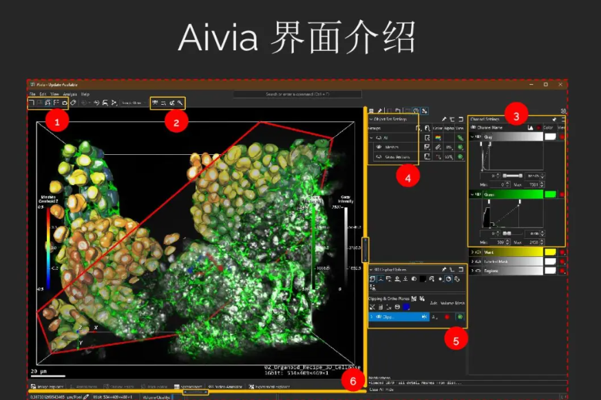 掌握Aivia！快速入门使用指南