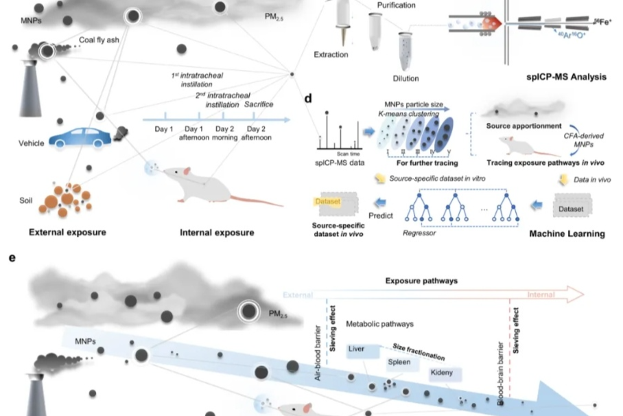 生态环境中心刘倩等成果：单颗粒质谱追踪大气颗粒物的体内暴露途经
