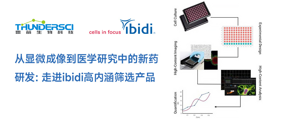 从显微成像到医学研究中的新药研发：走进ibidi高内涵筛选产品