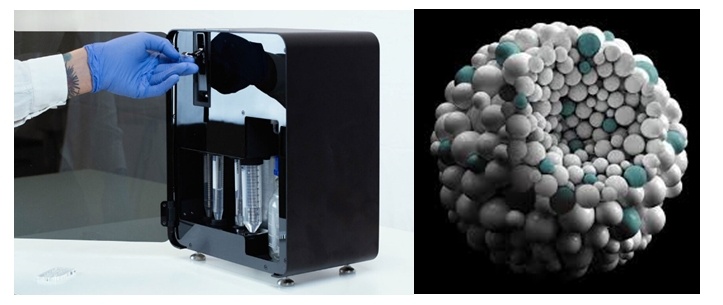 3D细胞培养新标准：重量物理细胞计数器在生物医学研究中的应用---CellDynamics W