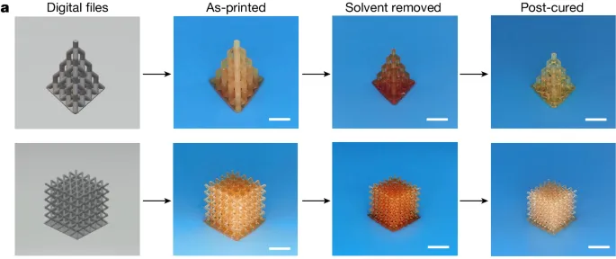 浙江大学，最新Nature！超强韧3D打印弹性体问世