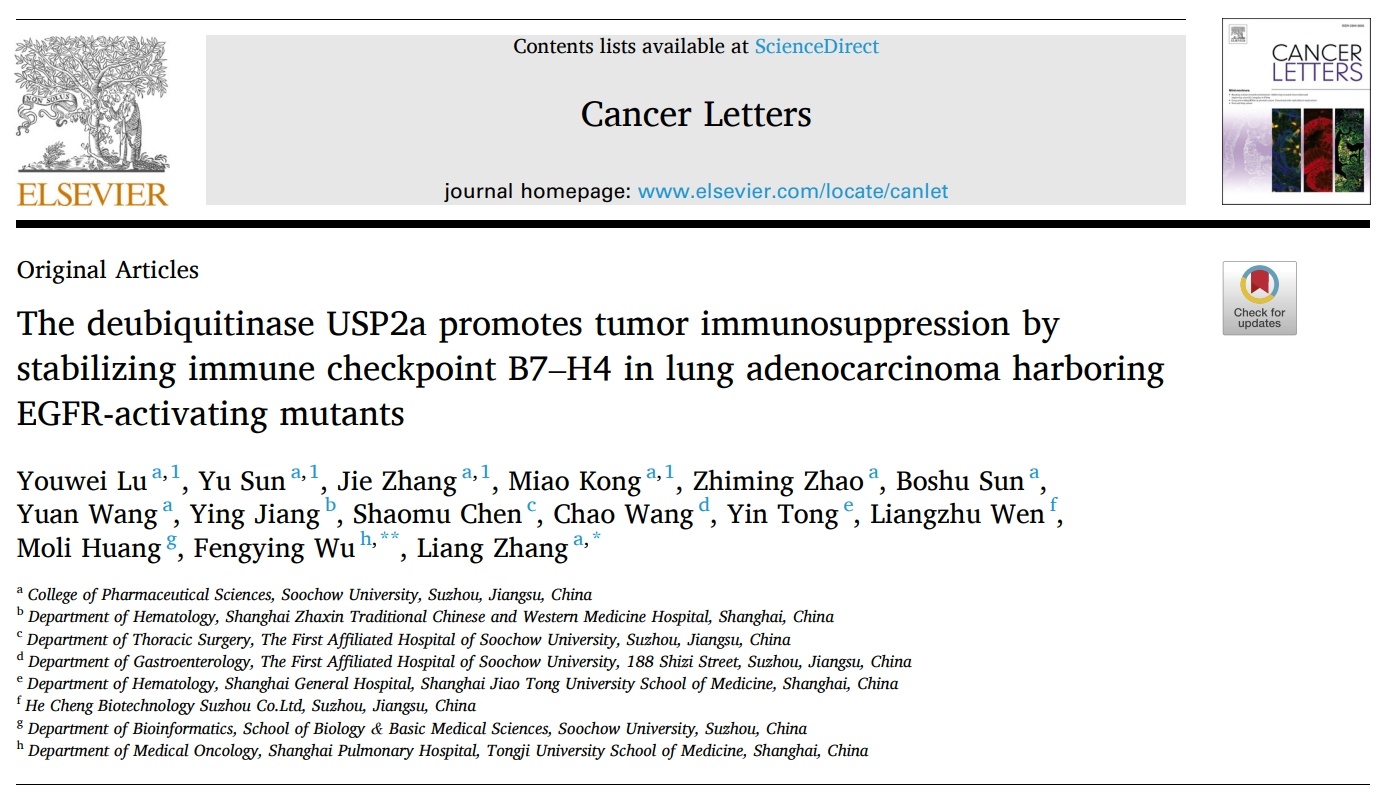 苏州大学章良教授发现USP2a 在EGFR驱动突变的肺癌中的作用，提供肿瘤治疗靶点